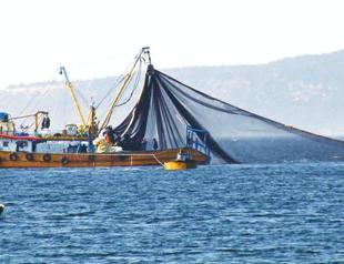 Ministry’s decision to lift fishing ban in Bosphorus canceled