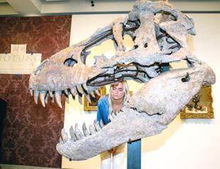 T rex skull unearthed in South Dakota to be auctioned in NY