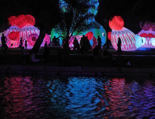 Saudi light festival tries to sell public on arts push