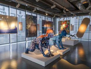 ‘Co-Art Co-Act’ represents UN’s sustainable goals