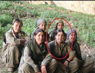 MIT neutralizes senior PKK leader in N Iraq