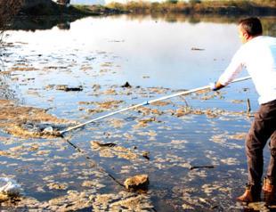 Ministry initiates investigation on foaming in Meriç River