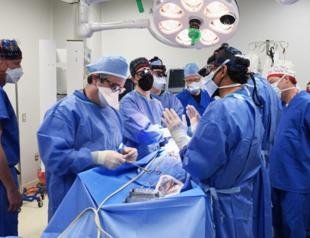 Pig-to-human heart transplant possible within 2 years: Expert