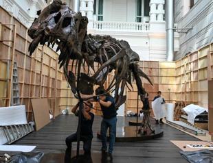 Dinosaur Latest News, Top Stories - All News & Analysis About Dinosaur