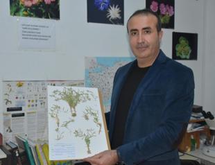 New plant species named after city found