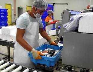 Aquaculture exports to top $1.5 billion: Minister