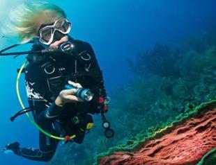 Marine ecosystem workshop starts in Muğla