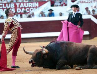 Bid to ban bullfighting abandoned in France