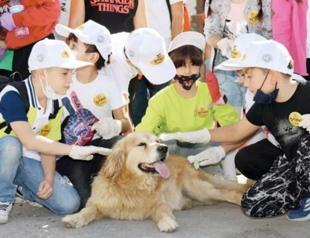 Animal rights to be under legal guarantee