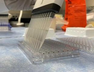 Domestic diagnostic kit to detect 3 viruses together