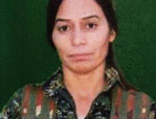 MİT ‘neutralizes’ PKK local leader in N Syria