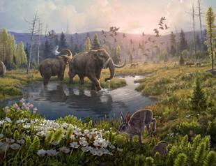 Scientists find 2-million-year-old DNA in Greenland