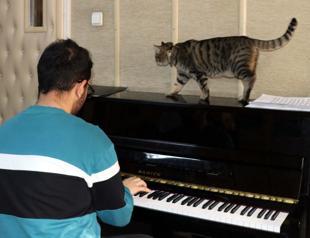 Cat found injured becomes faculty’s mascot