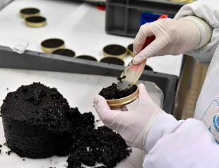 France bets on tech to beat Chinese caviar