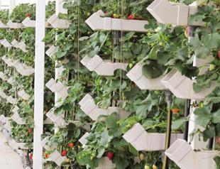 Producer prices in agriculture up 7 percent