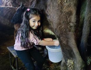 Little girl spends day with animals, likened to Heidi
