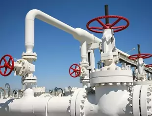 Türkiye’s gas storage 100 percent full: official