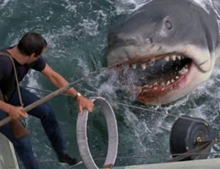 Spielberg regrets ‘Jaws’ impact on shark population