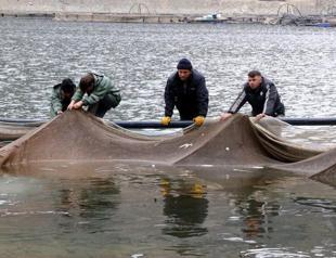 Thousands of tons of fish exported from landlocked city