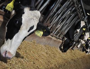 US widens trade complaint against Canada over dairy
