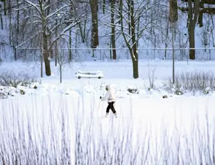 Arctic storm brings holiday travel chaos to US