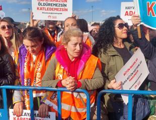 Animal rights activists hold rally in Istanbul