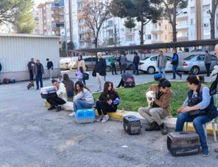 Minister hints extending pet registration deadline