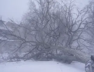 US digs out from monster storm as death toll passes 50