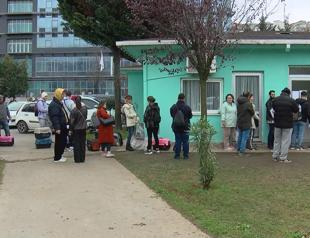 More than 1 million pets registered in PETVET