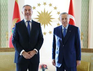 Presidents of Türkiye, Montenegro meet in Istanbul