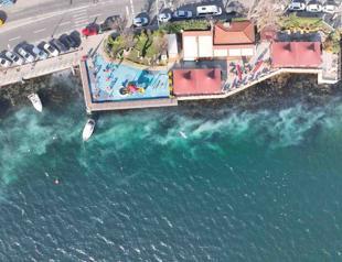 Coastline of Sarıyer district covered with jellyfish