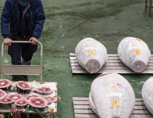 Japan tuna price soars past $270,000 at New Year auction