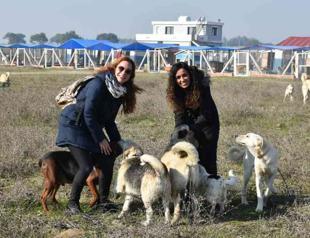 ‘Garden of mercy’ hosts disabled, attacked animals