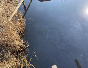 Ministry launches investigation into pollution in Riva Stream