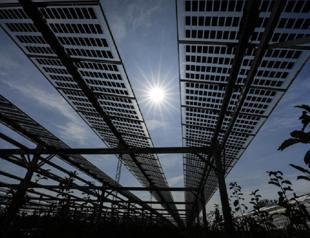 Hanwha invests $2.5 bln in US solar panels