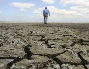 Drought might hinder planting of some crops: Farmers
