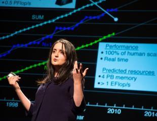 Turkish scientist proves transplanted brain cells can function