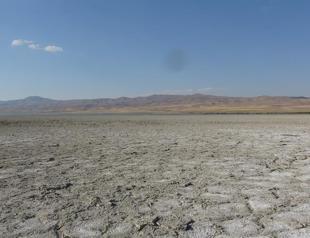 Rains in a week may ‘save agricultural production’