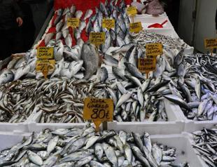 Over 37 mln liras of fines imposed for illegal fishing