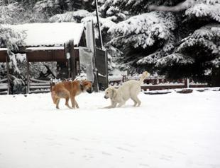 Istanbul to witness snowfall on weekend: Experts
