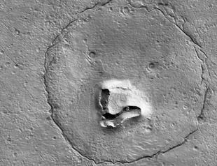 Cute-looking teddy bear appears on Mars