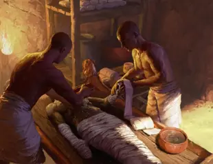 ‘Surprising’ mummy ingredients discovered