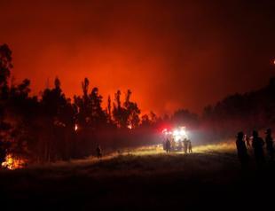 Death toll in Chile forest fires rises to 23: official