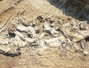 Kenyan study fuels a Stone Age mystery