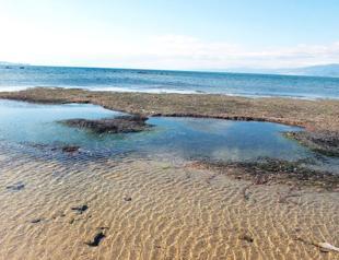 Ancient harbor comes to surface