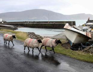 Remote ‘Banshees’ islands reap Oscars tourism boom