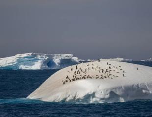 Antarctica sea ice melts to a record low