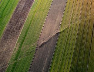 6.4 magnitude tremor separate quake, not aftershock: Experts