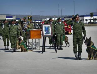 Local animal center named after late Mexican rescue dog