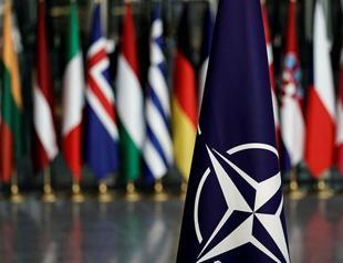 Finland gives early greenlight to NATO entry